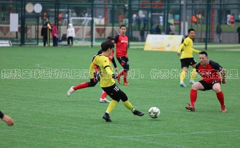 尊龙凯时人生是搏z6com哇咔哇咔文化