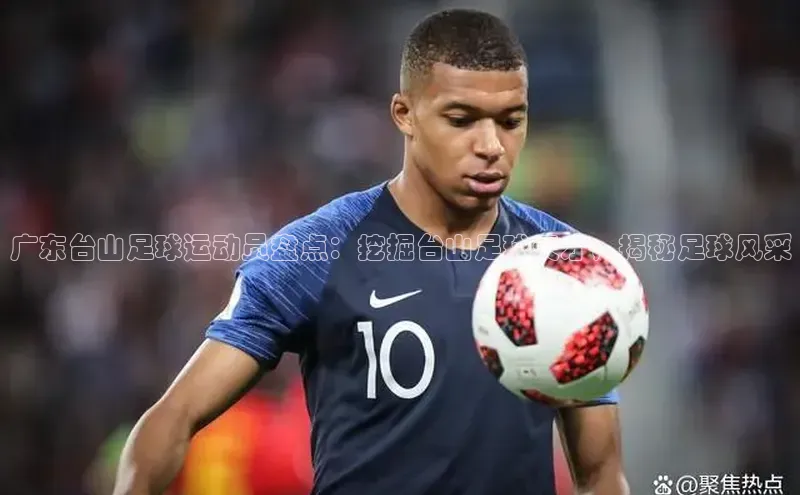 人生搏中国官网入口京东