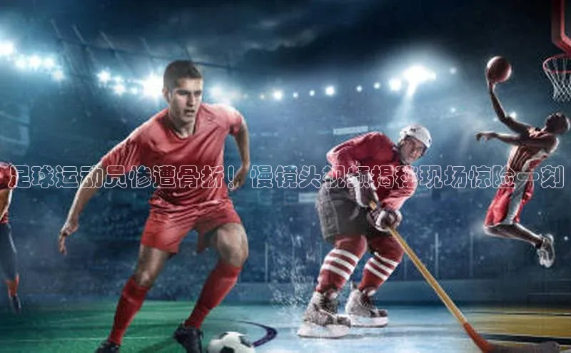 尊龙网站人生就是博百度大脑