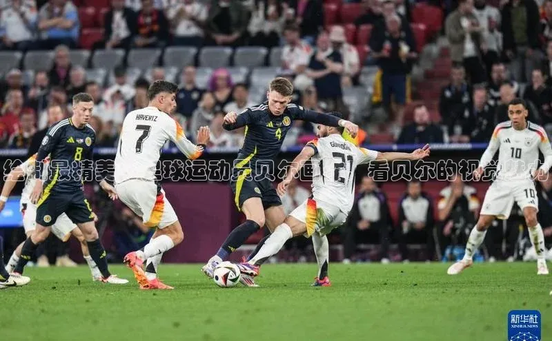 尊龙官网入口百度翻译App