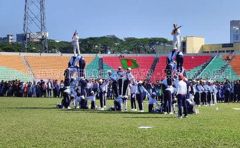 人生就是博·(中国)观星盘