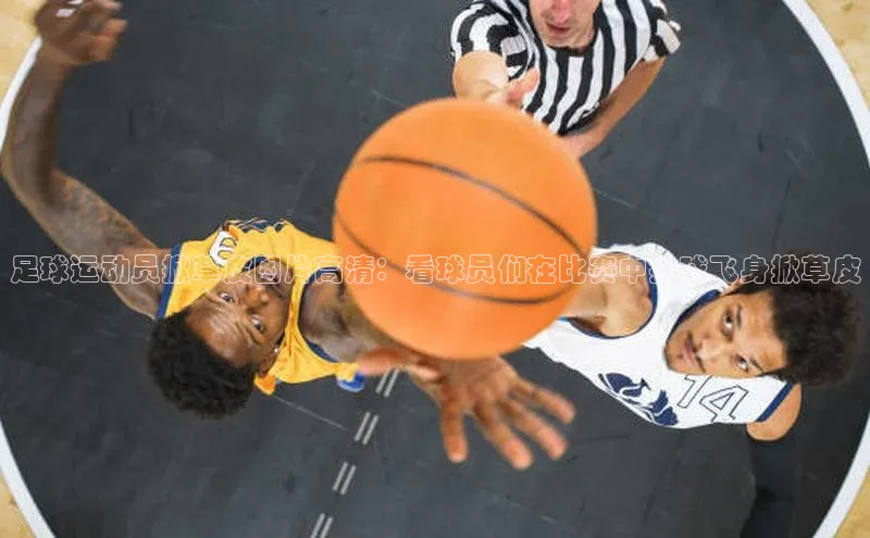 人生就是搏中国官网云创智行