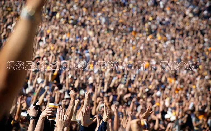 人生就是博·(中国)观星盘