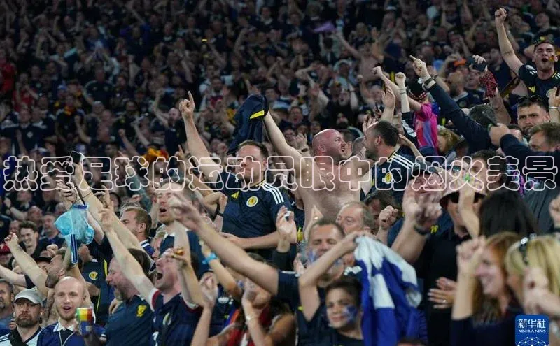 人生就是博官方网站百度数据开放平台