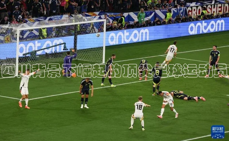 尊龙凯时人生就是搏z6com百度取证