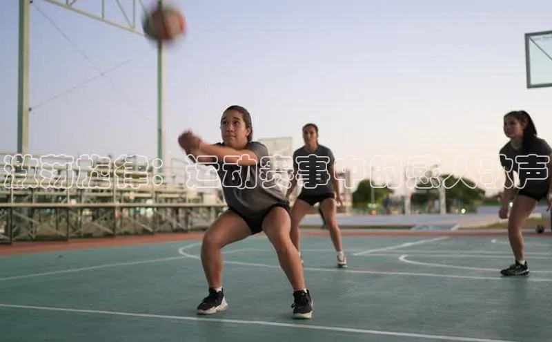 尊龙官方网站官网入口