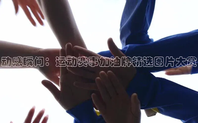 z6尊龙官方网站登录入口