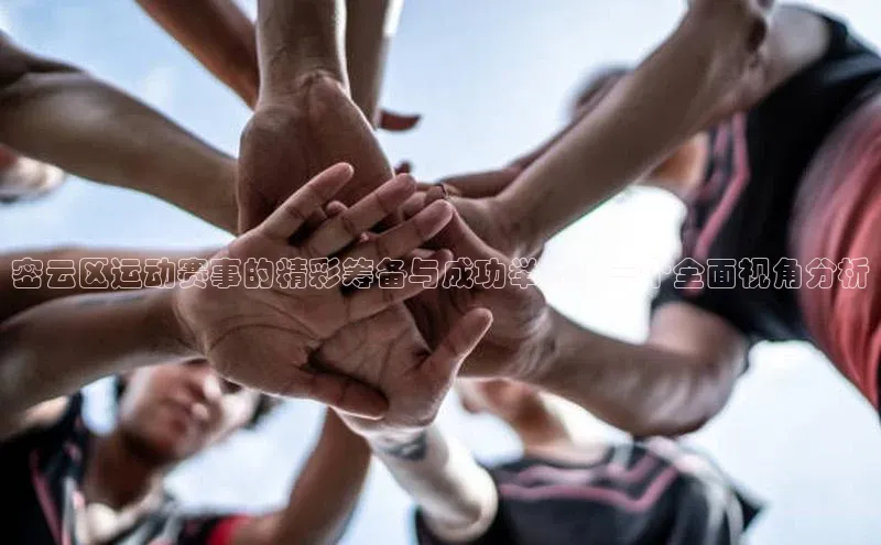 尊龙官方网站官网入口