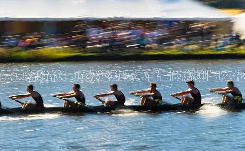 尊龙官方网站官网入口