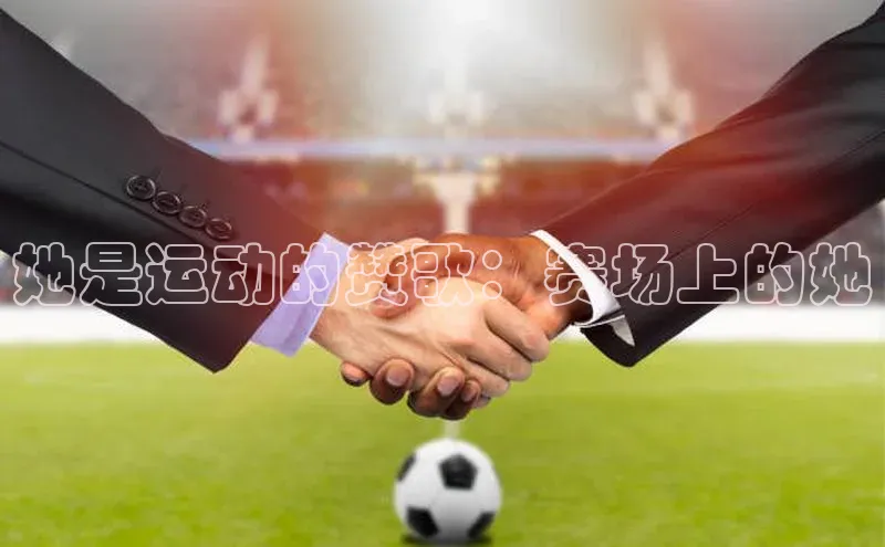 人生搏z6mg官网入口